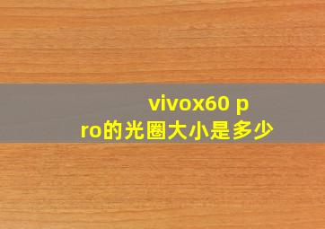 vivox60 pro的光圈大小是多少